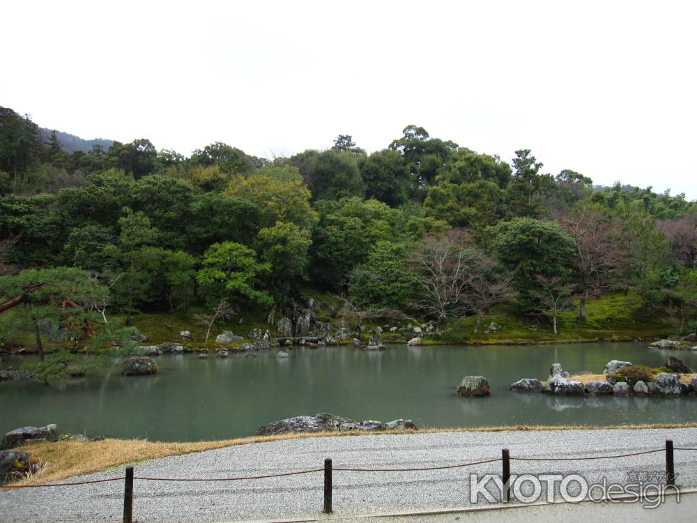 雨の天龍寺曹源池