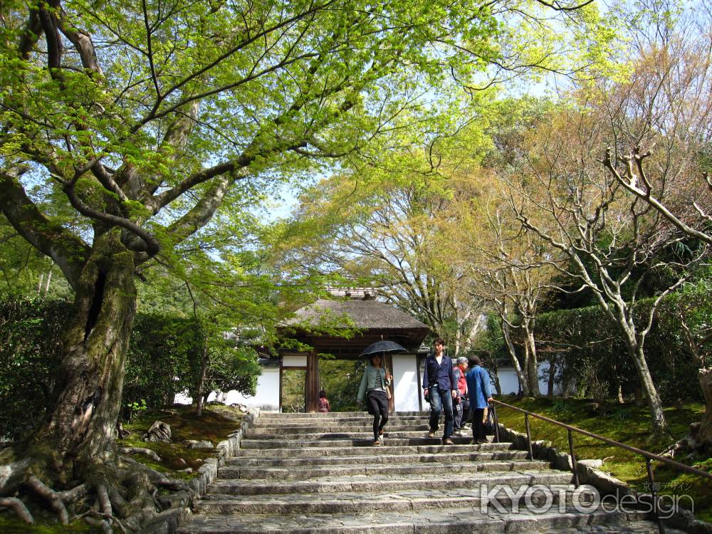 緑が綺麗な安楽寺の山門