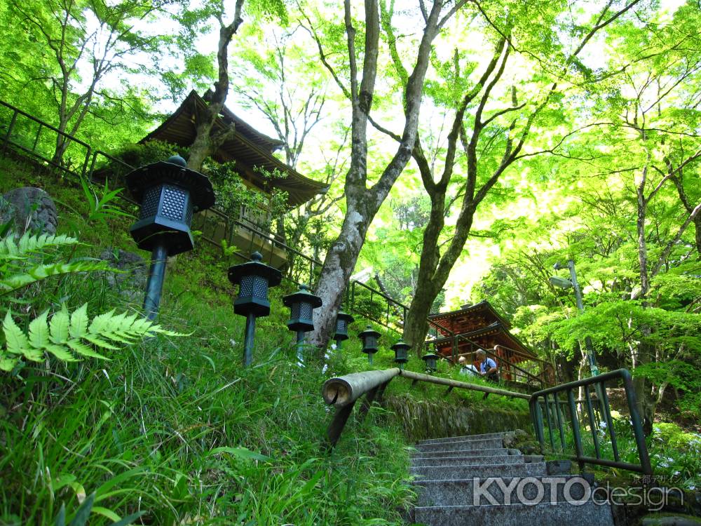 緑あふれる愛宕念仏寺