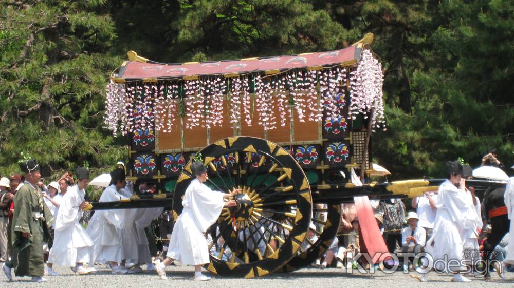 葵祭　牛車の横顔