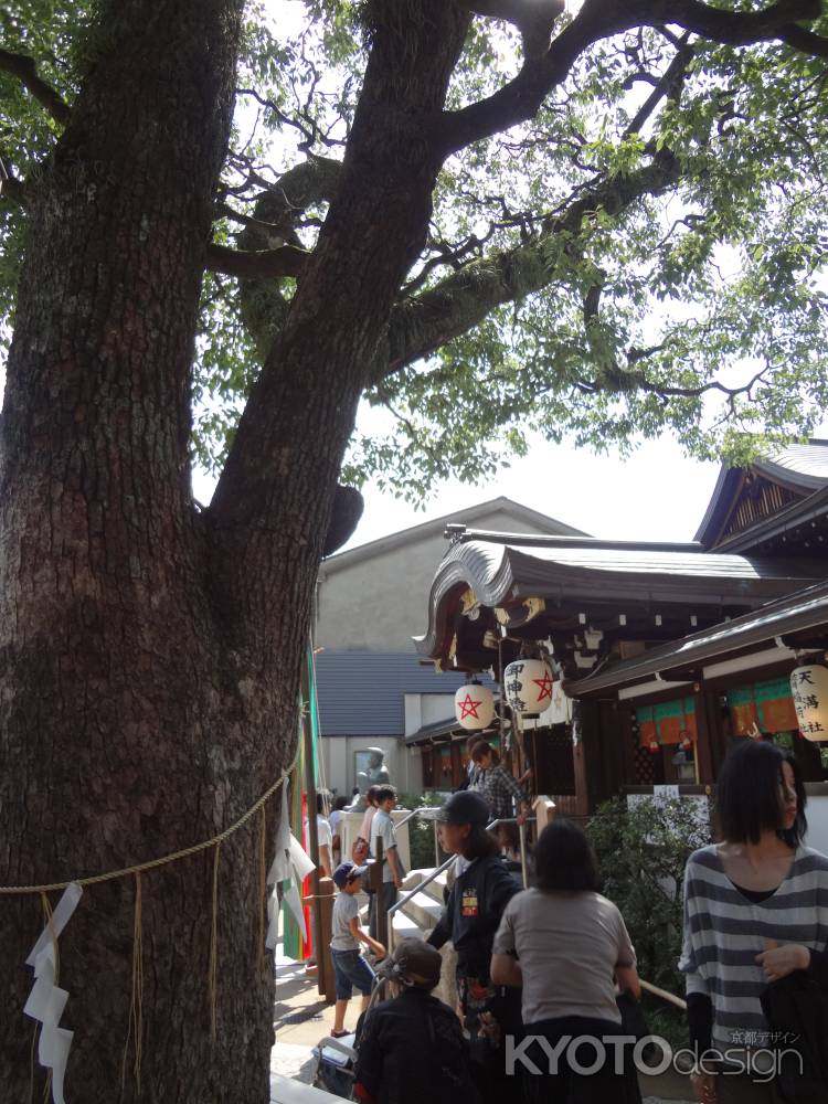 晴明神社 ご神木と本殿