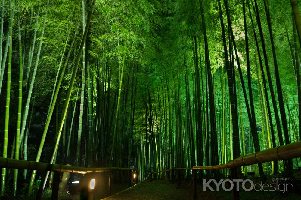 高台寺、七夕会③