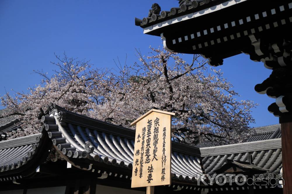 春の佛光寺