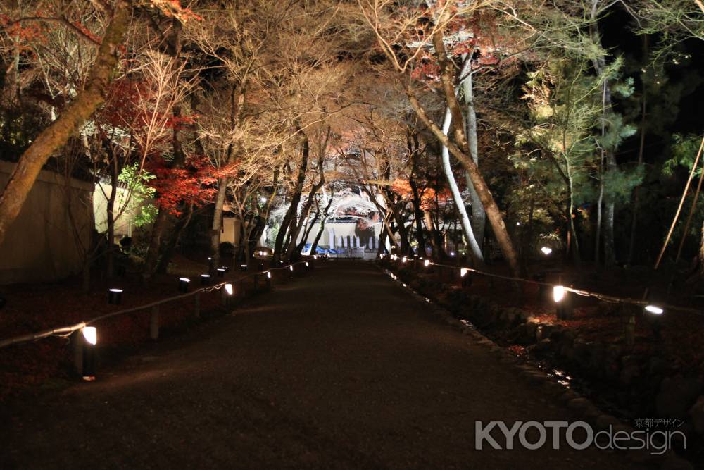 幻想的な雰囲気に包まれる宝厳院の庭園