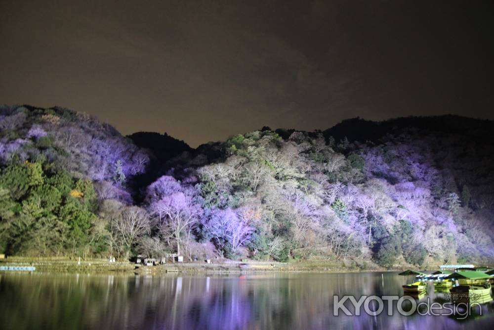 嵐山花灯路2010