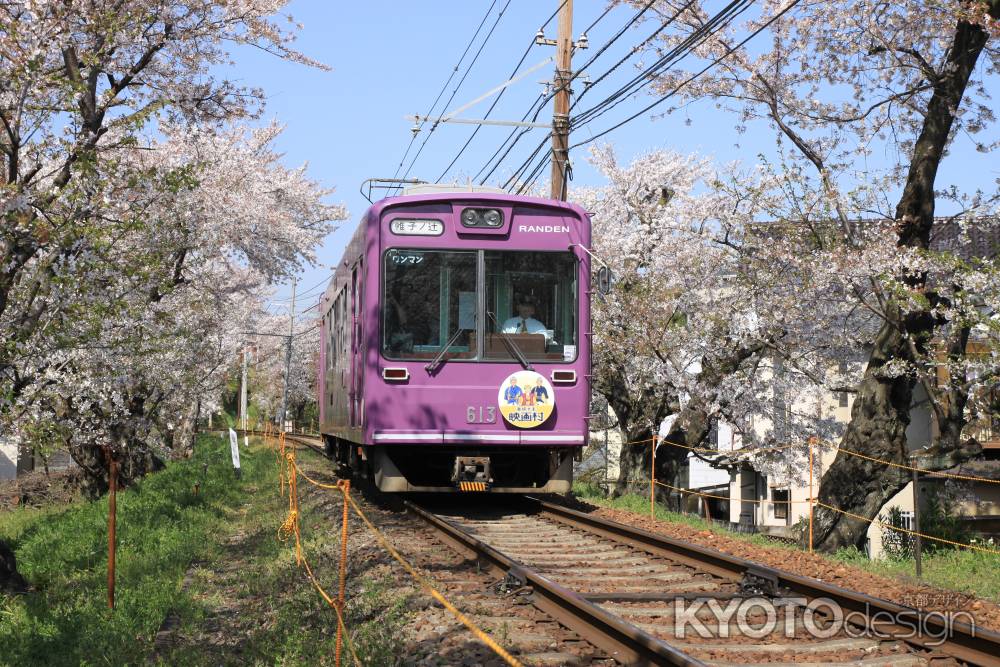 春の嵐電北野線を走る電車