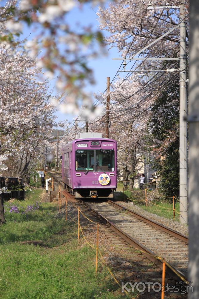 桜と嵐電