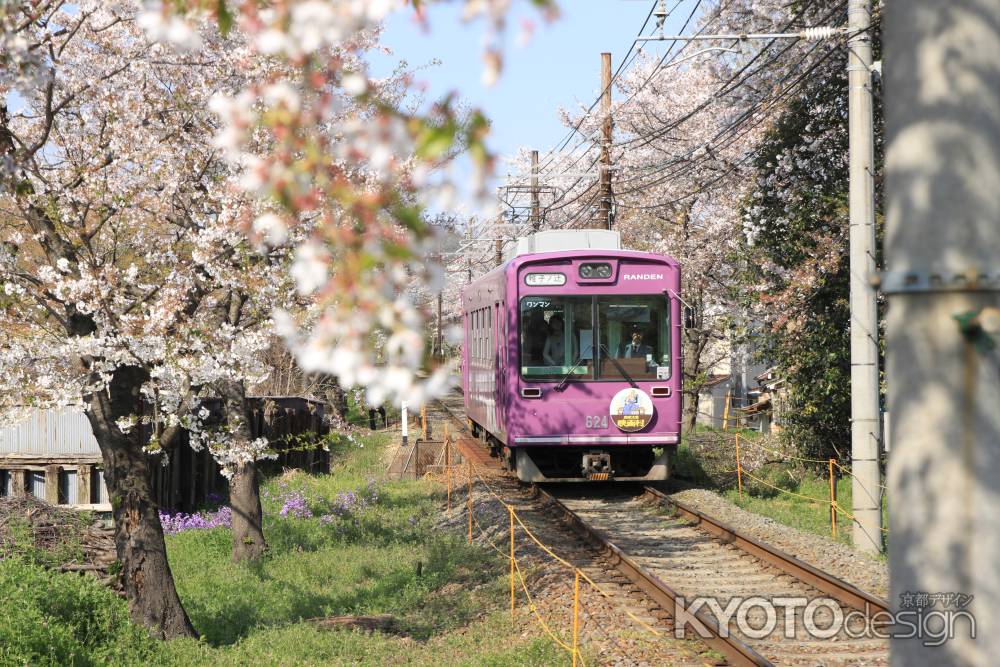 桜並木と嵐電