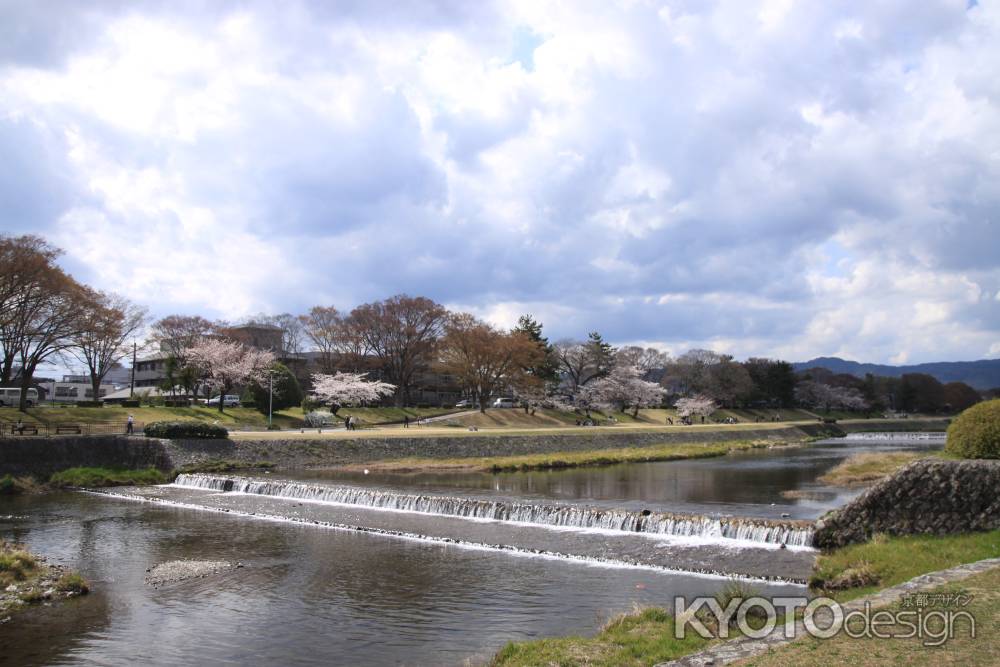 春の賀茂川