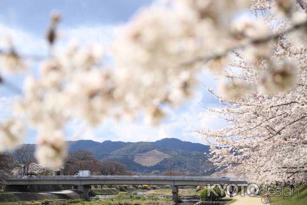 賀茂川からみえる西賀茂船山の船形