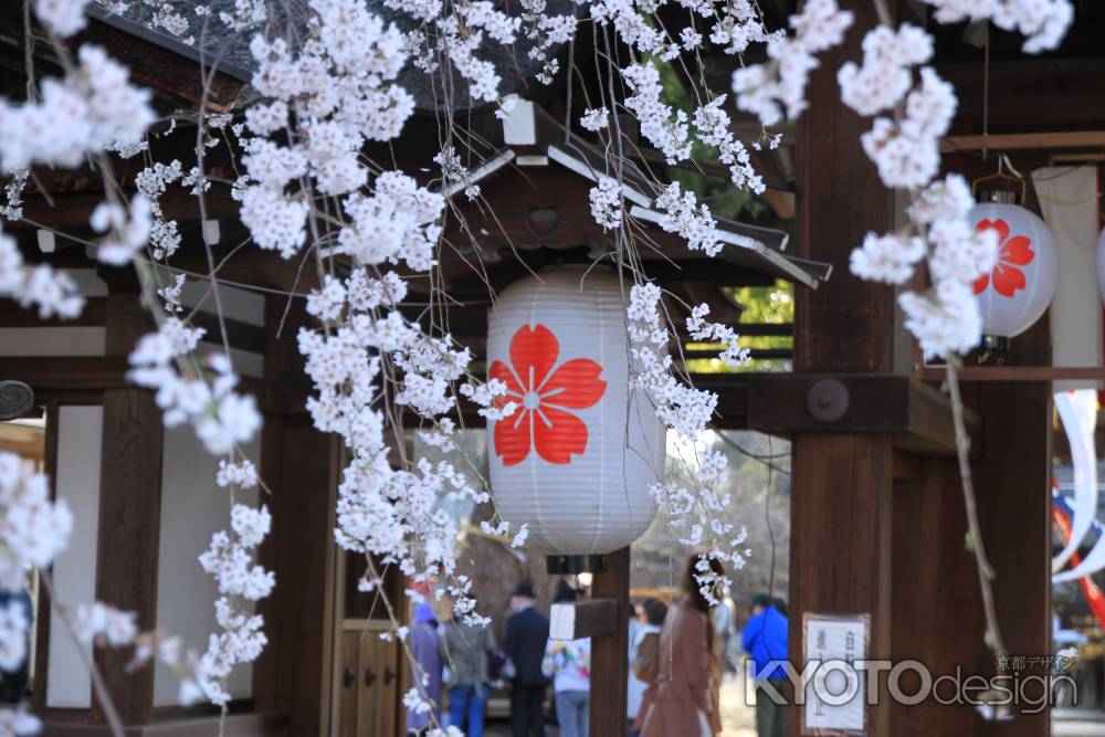 提灯　平野神社