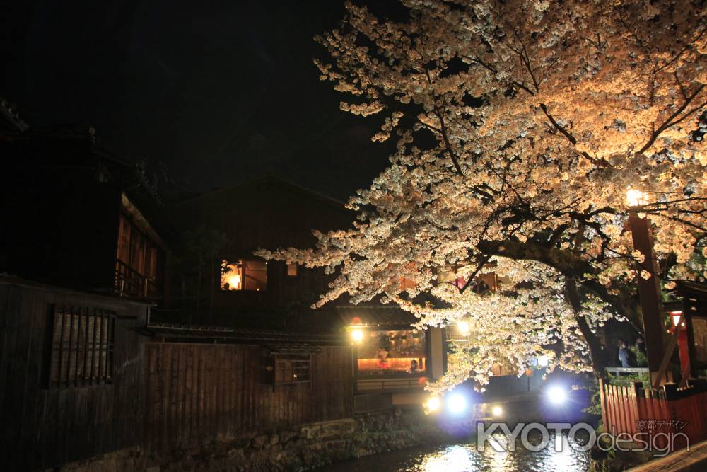 祇園の建物と桜