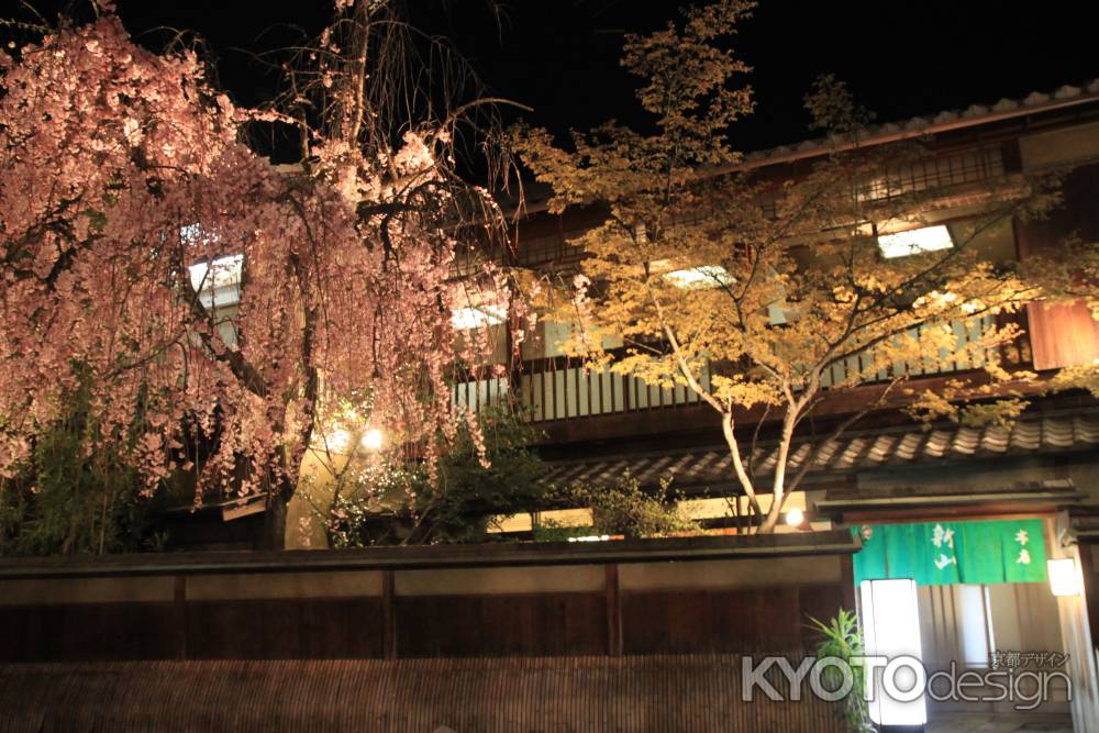 祇園のお店と桜