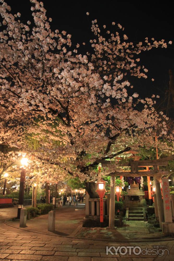 辰巳大明神の夜桜