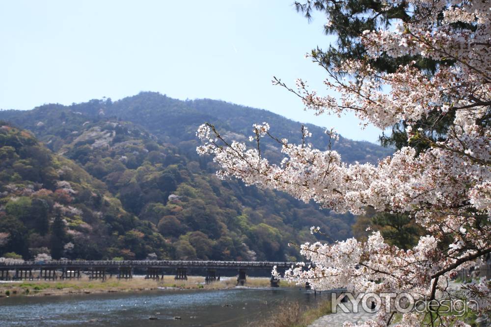 春の嵐山の風景