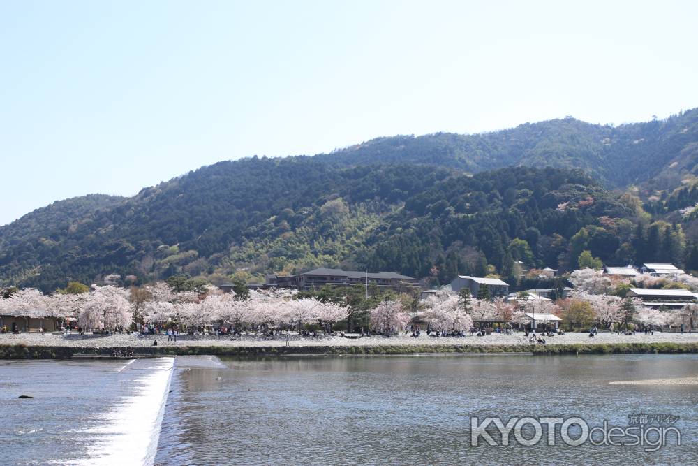 春の嵐山公園