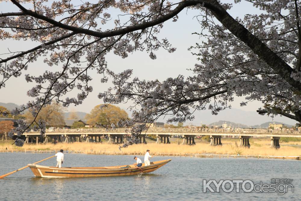 桜と船