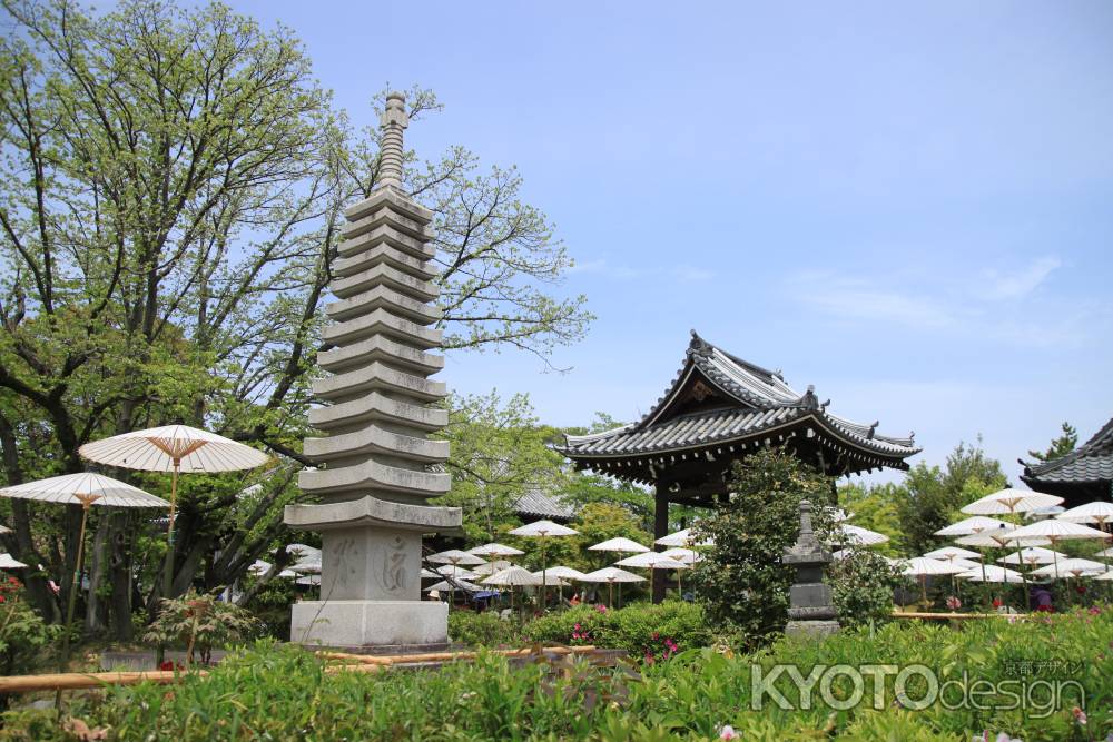 乙訓寺牡丹まつり2011の風景