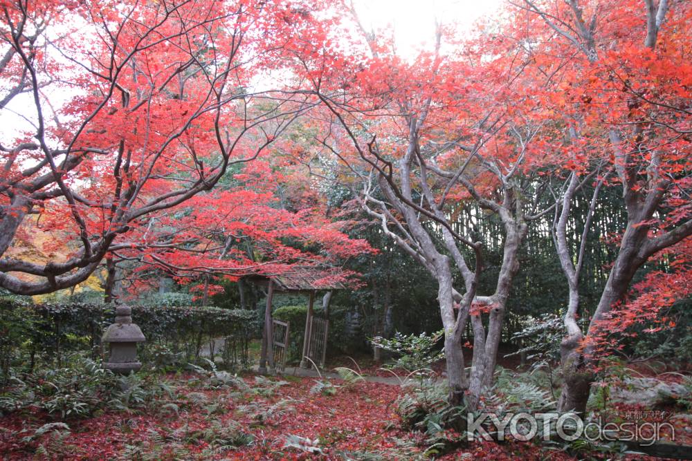 厭離庵の庭園