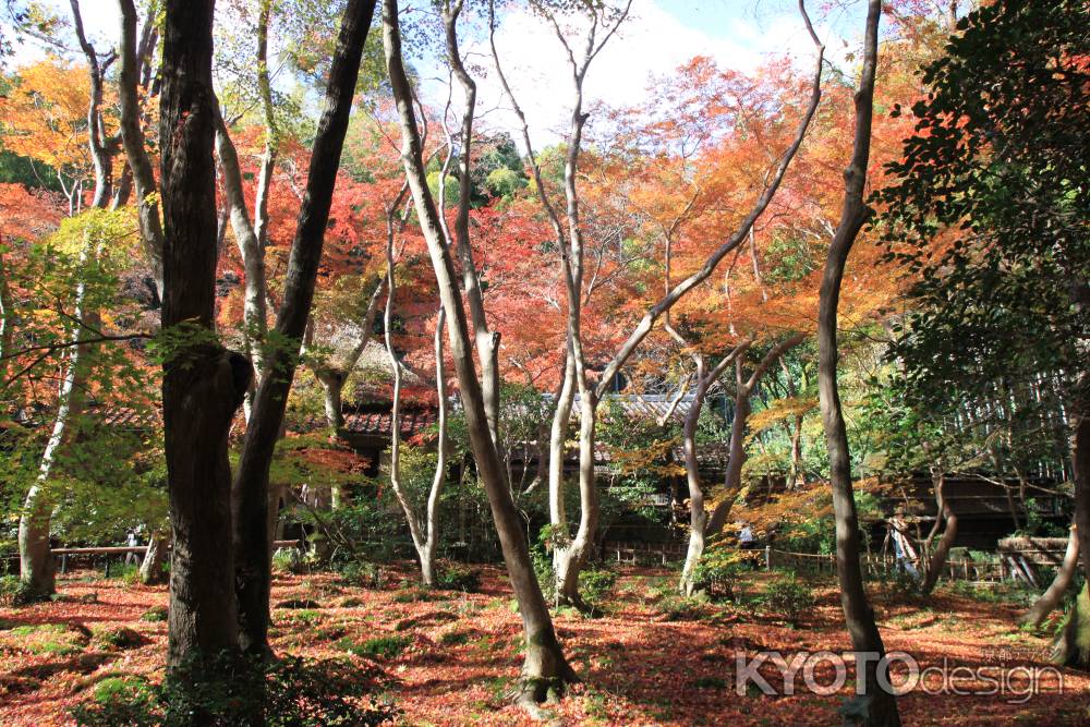 草庵と紅葉