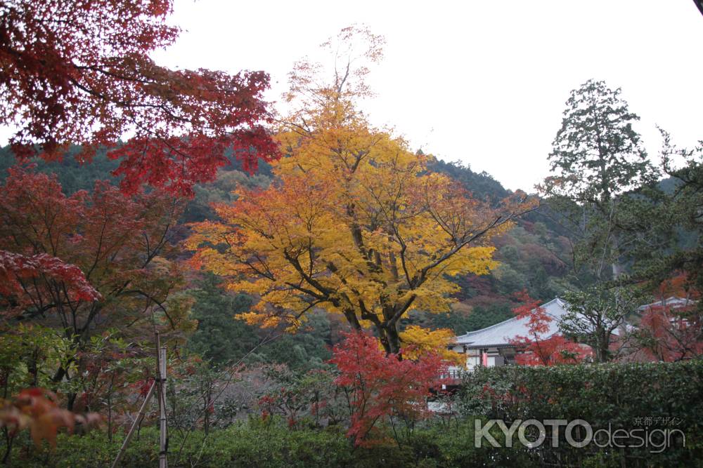 紅葉の善峯寺