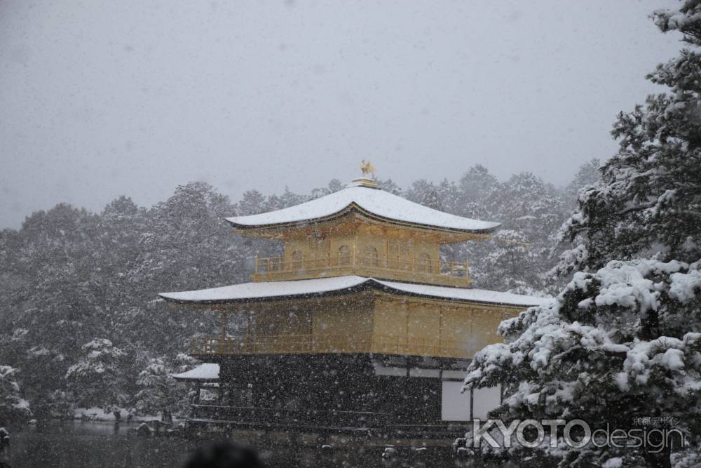 雪にかすむ金閣