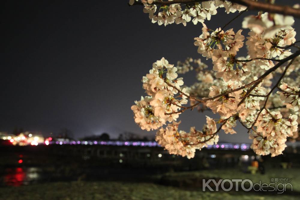 桜ライトアップと渡月橋