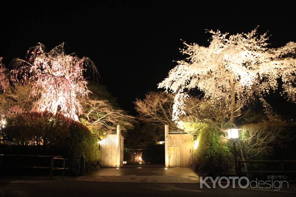 夜桜と門