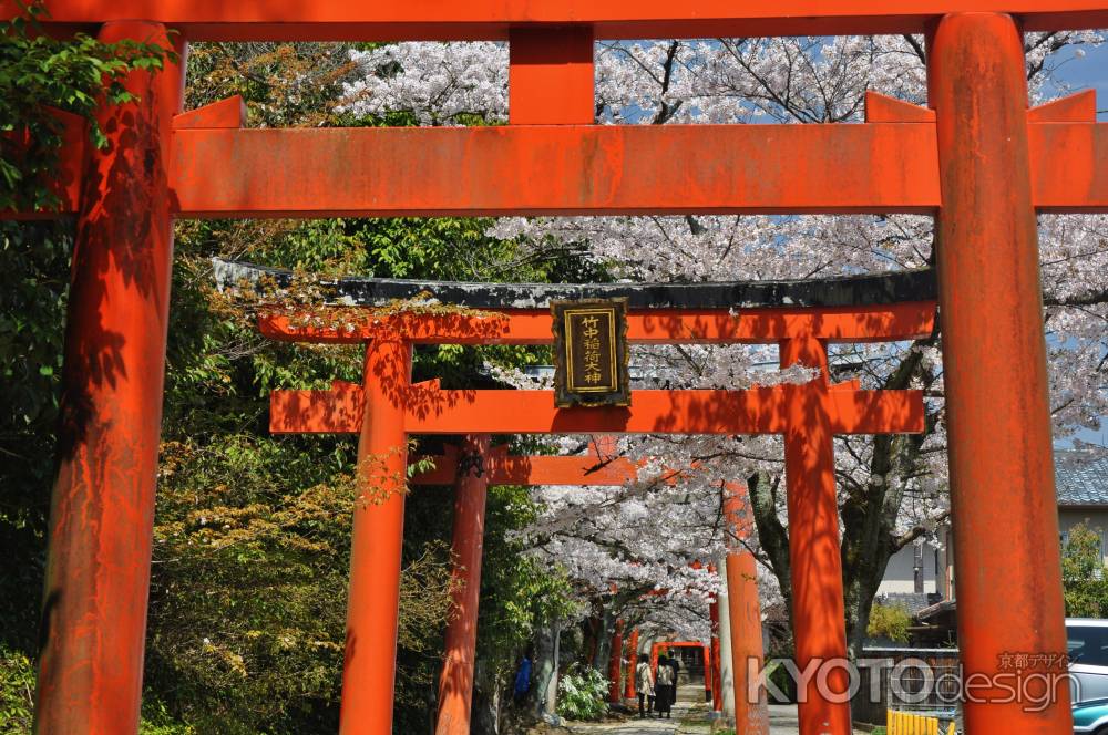 桜咲く竹中稲荷