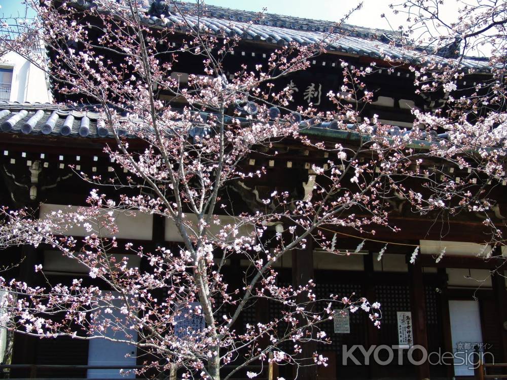 春の立本寺