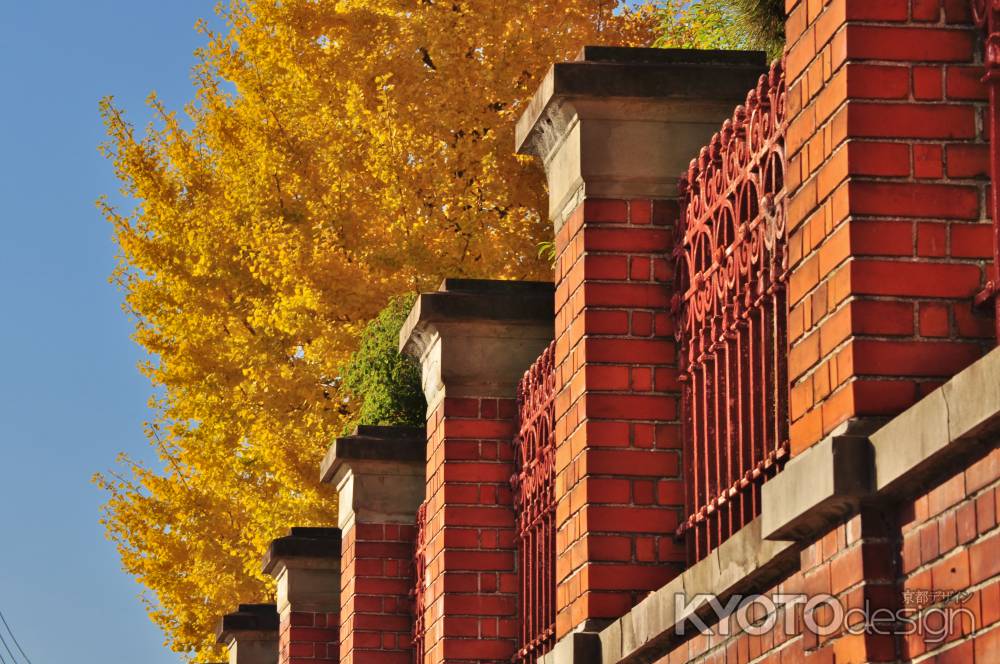 京都国立博物館の煉瓦壁と銀杏の黄葉