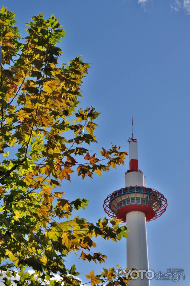 秋の京都タワー