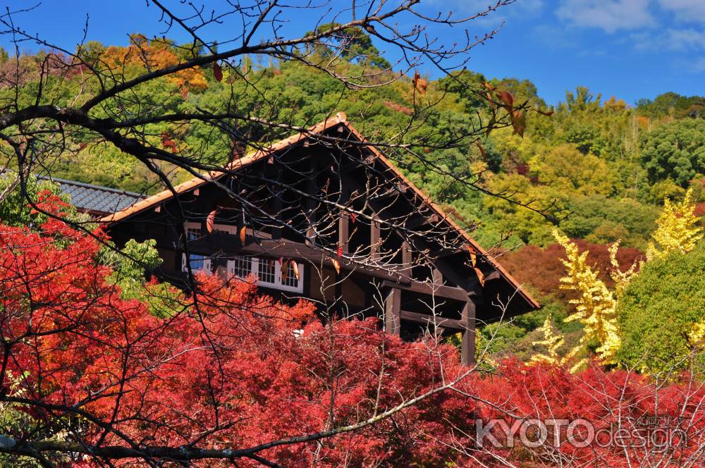 秋の大山崎山荘美術館