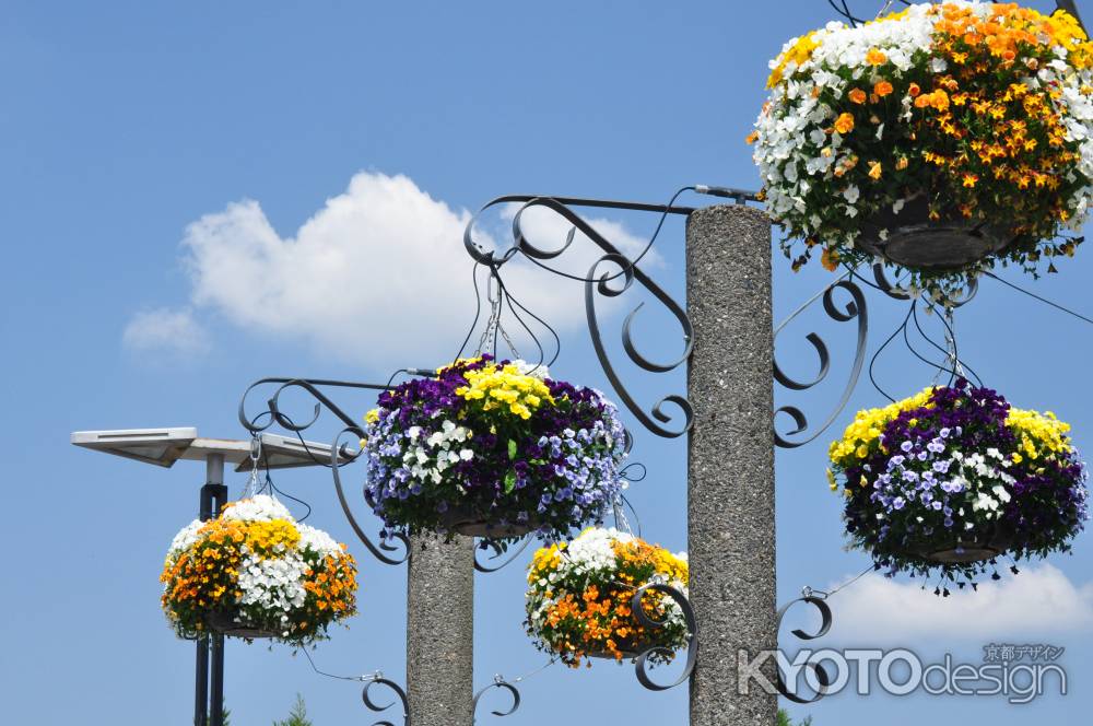 宇治市植物園