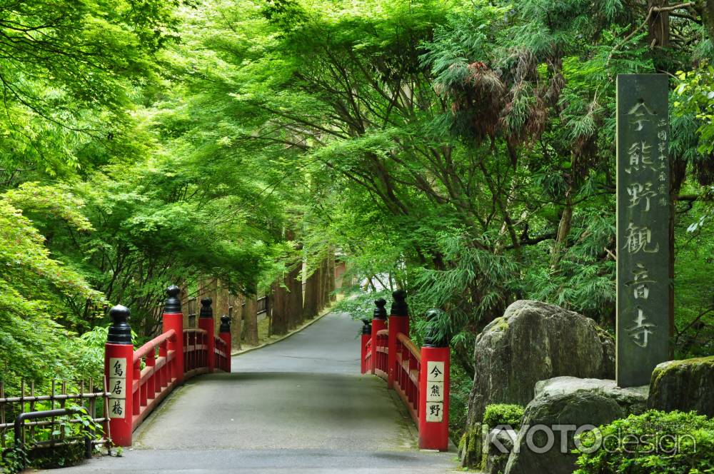 新緑の今熊野観音寺鳥居橋