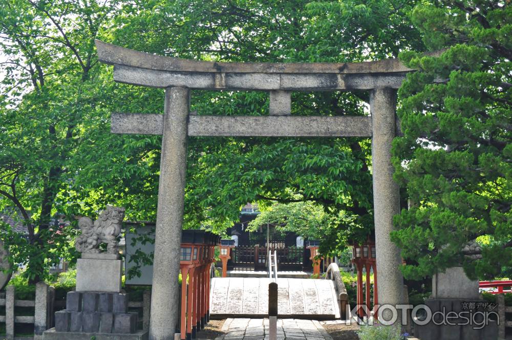 新緑の六孫王神社2