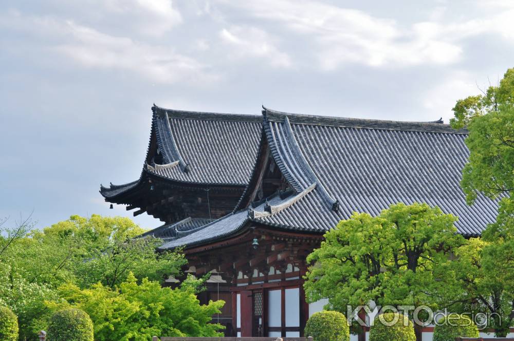 新緑の東寺講堂、金堂