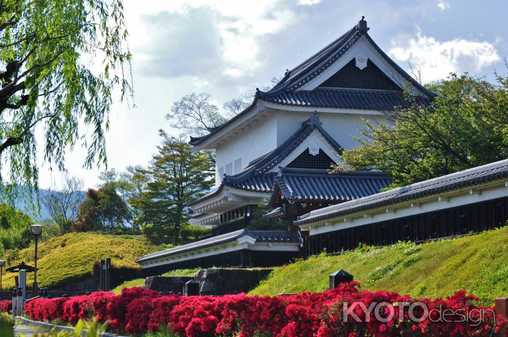 キリシマツツジ咲く勝竜寺城公園