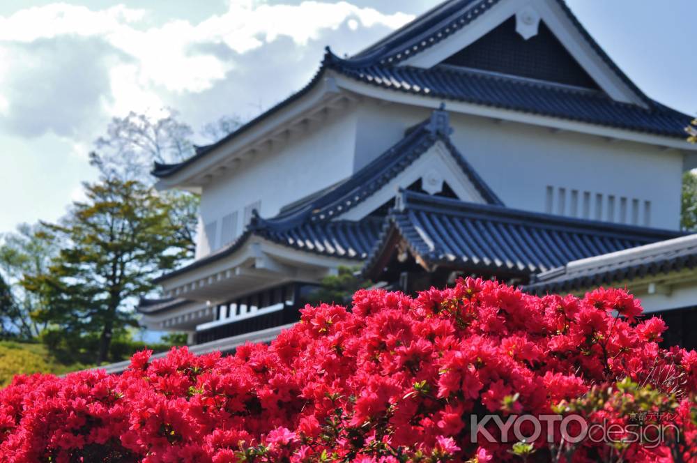 キリシマツツジ咲く勝竜寺城公園