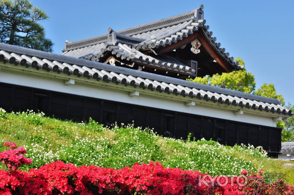 キリシマツツジ咲く勝竜寺城公園