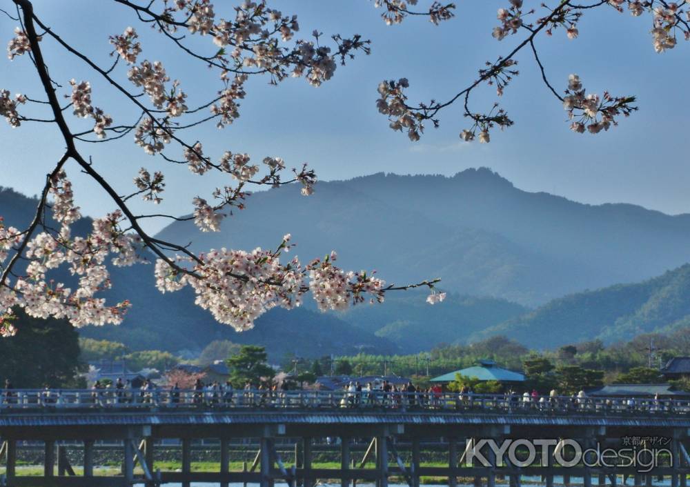 春の渡月橋