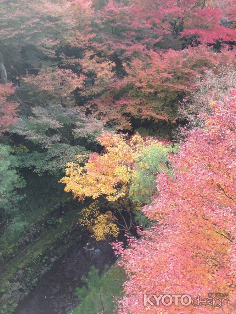 東福寺・紅葉3