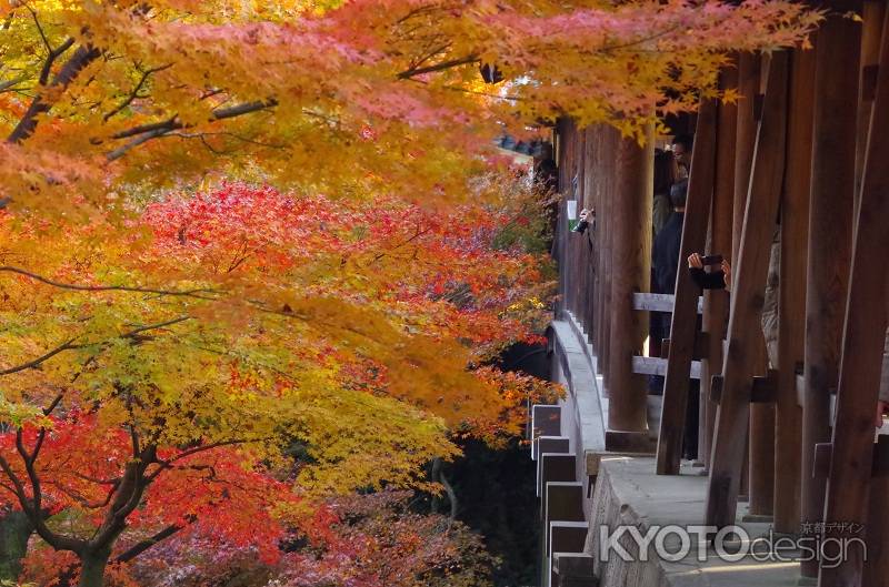 東福寺・紅葉7