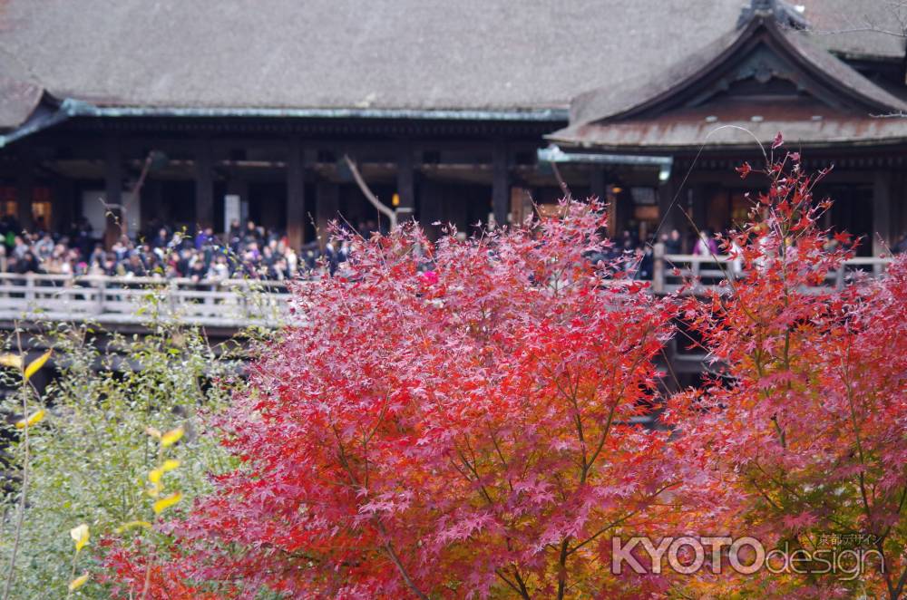 2012清水寺と観光客