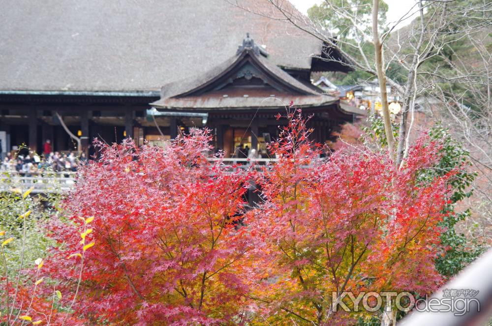 2012清水寺と紅葉