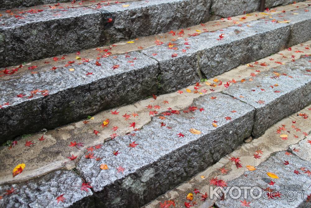 三千院　〜紅葉散りめく石段〜