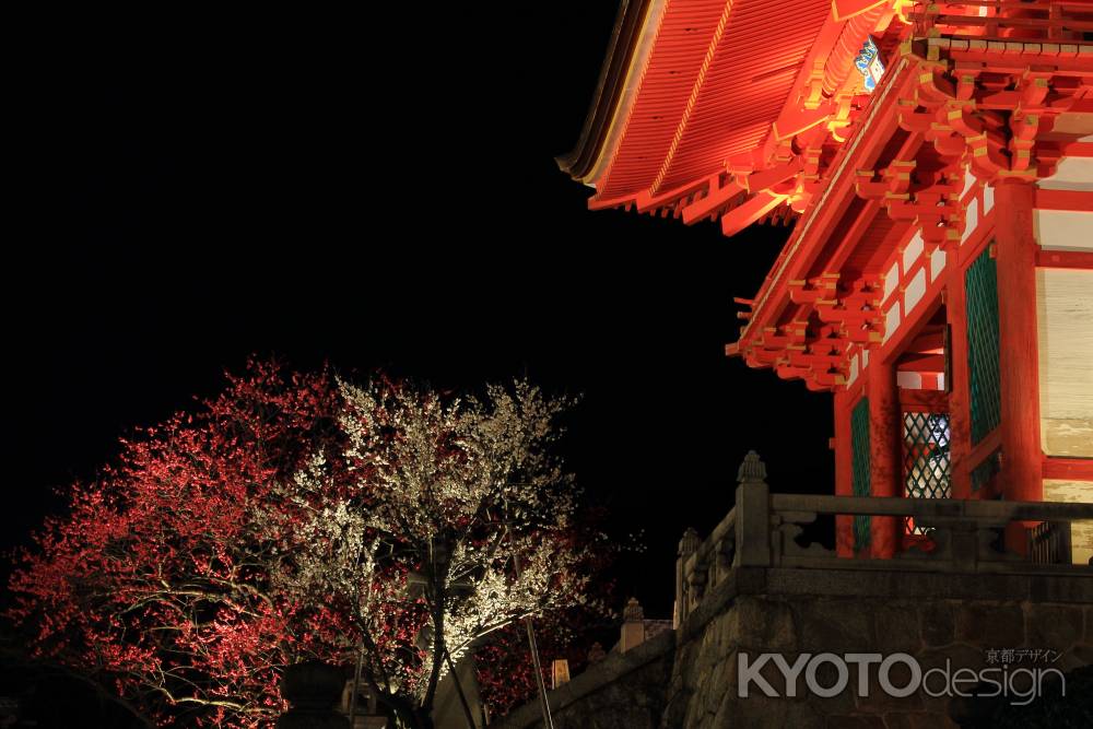 花灯路２０１３in清水寺１４