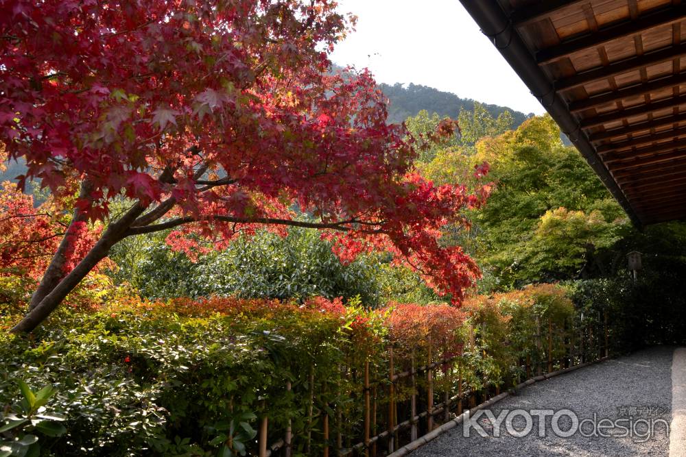 光悦寺から鷹峰