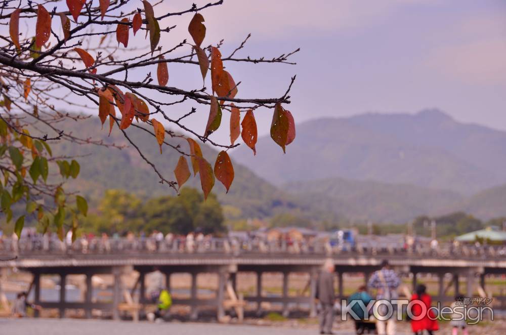 紅葉の始まりの「嵐山」