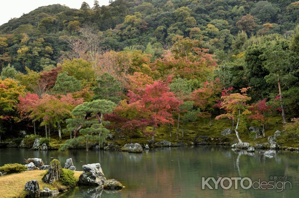 天龍寺・曹源池・紅葉